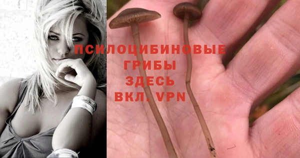 бутик Дмитровск