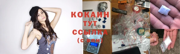 мдпв Дмитров