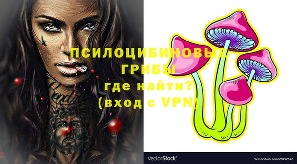кокс Гусь-Хрустальный
