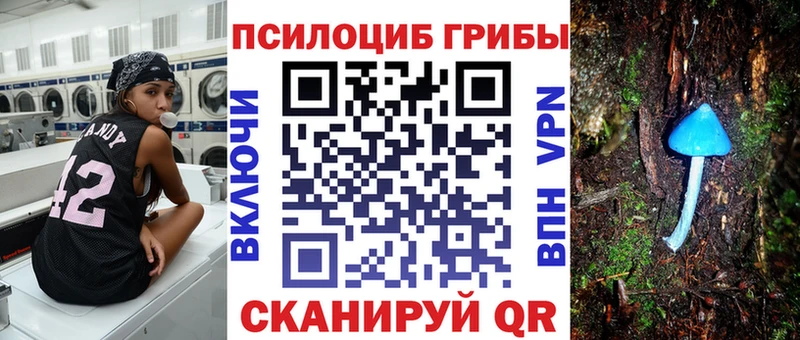 Купить закладки  Кяхта  Галлюциногенные грибы MAGIC MUSHROOMS 